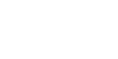 Minnesota Twins