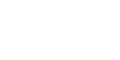 UN General Assembly